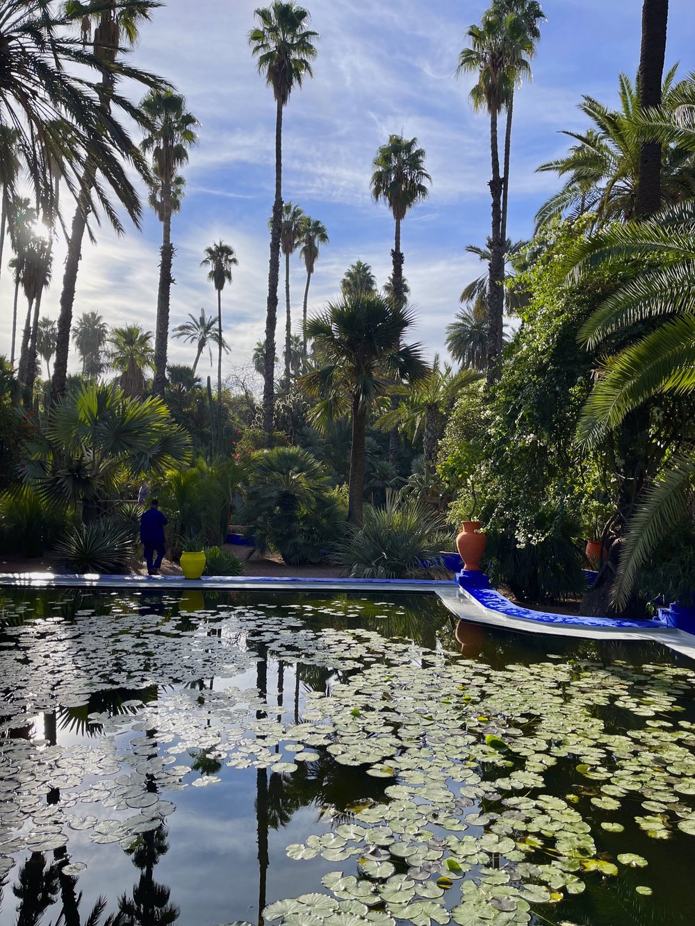 Yves St Laurent Gardens Morocco