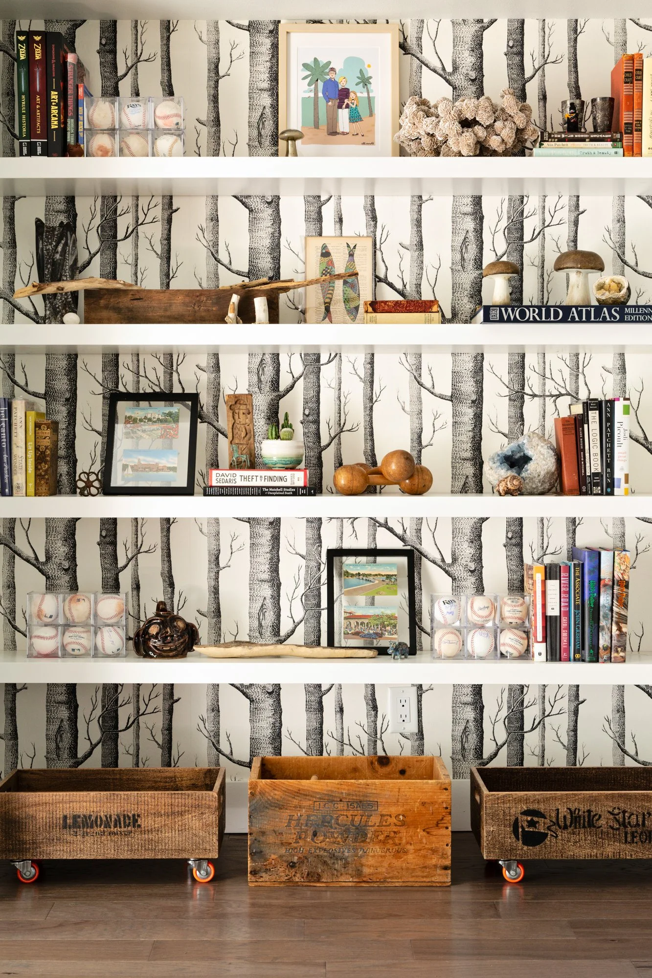 Librairy with B&W birch walpaper with shelving