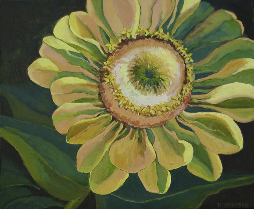 Yellow Daisey