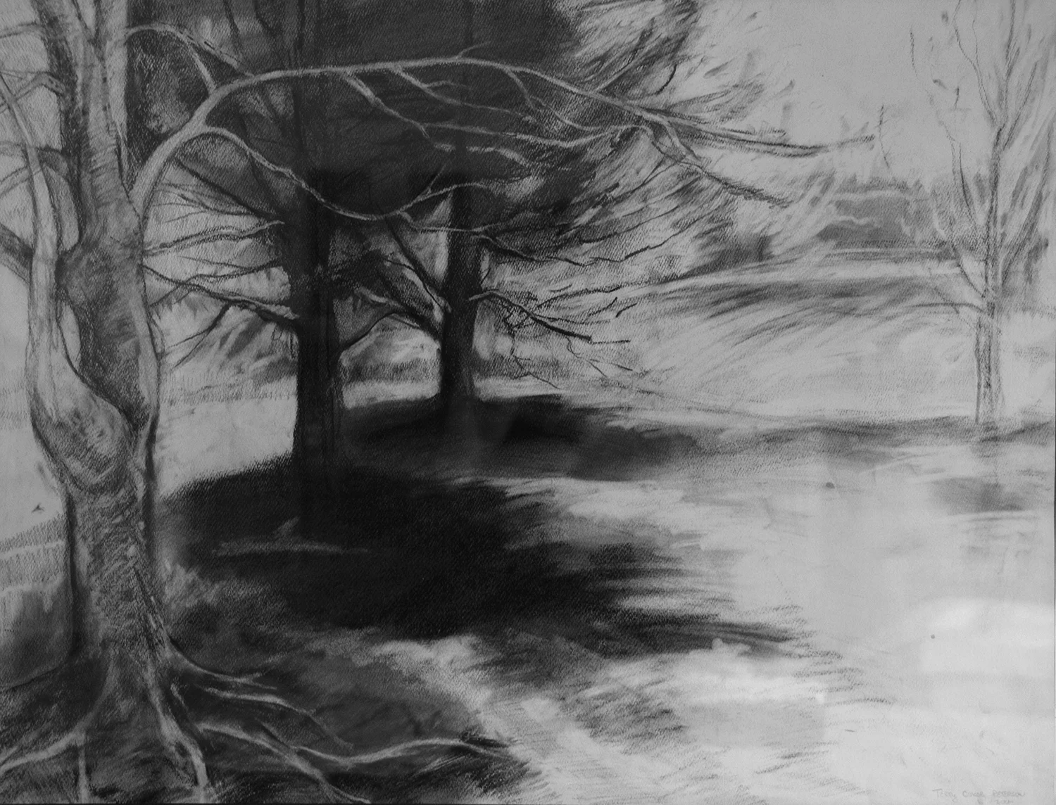 Shadows and Light
