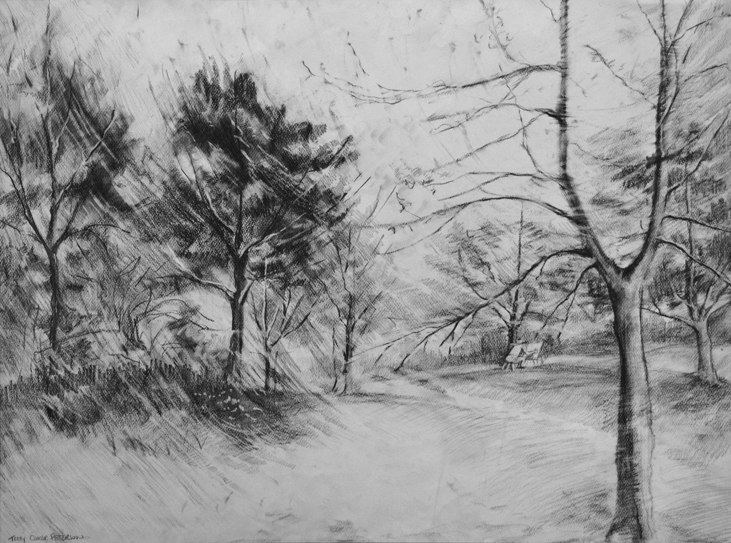 Windy Day in the Park