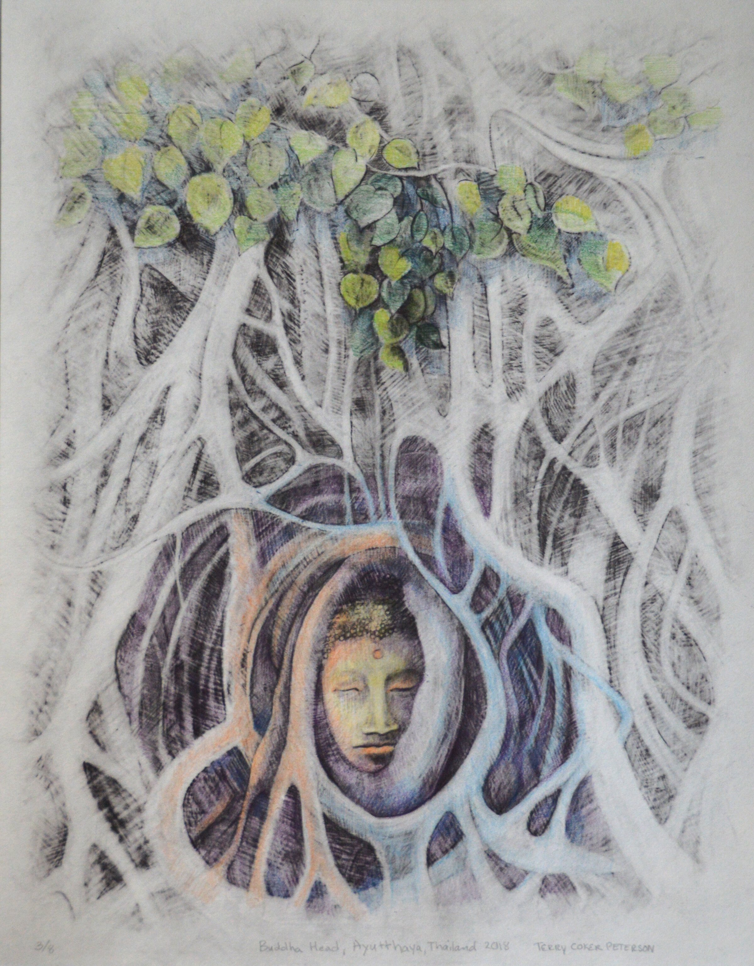 Buddha Head, Thailand, 18”x24”, conté on mylar with color pencil