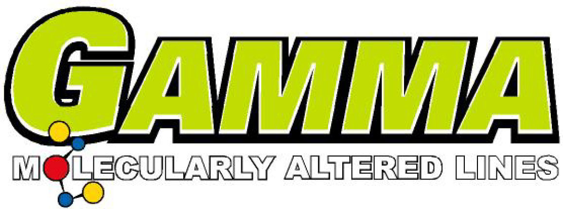 Gamma Fishing Line — Freshwater Therapy Fishing Guide Service