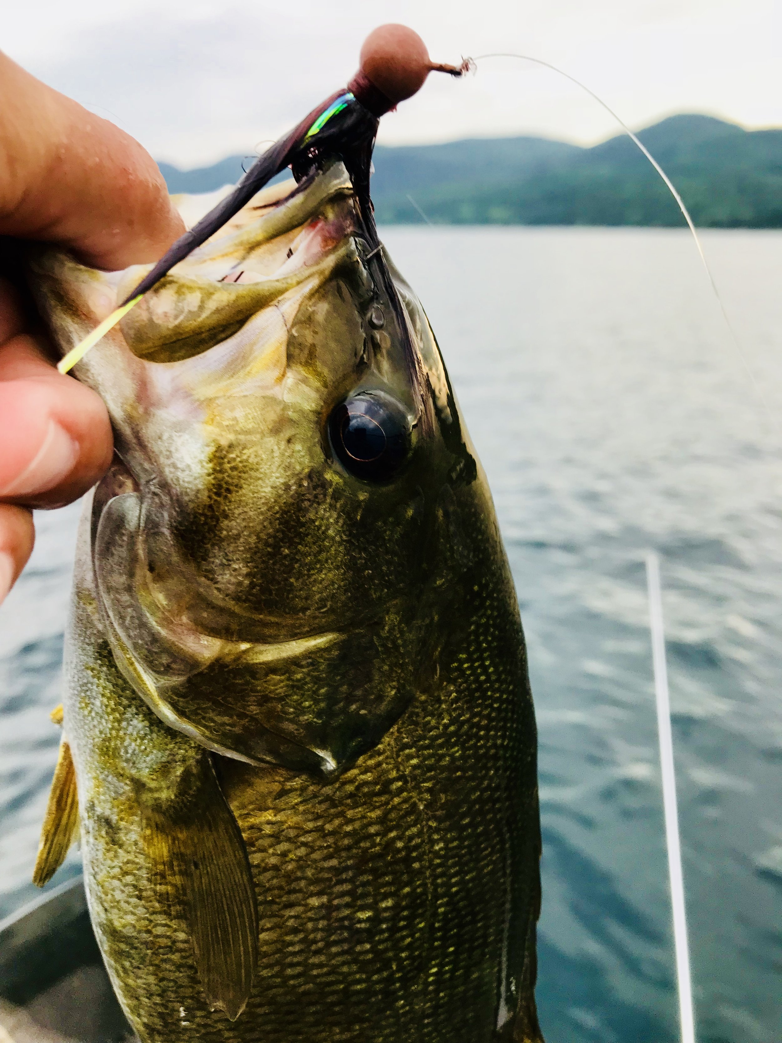 Learning how to Fish Lake George: Hair Jig — Freshwater Therapy Fishing  Guide Service