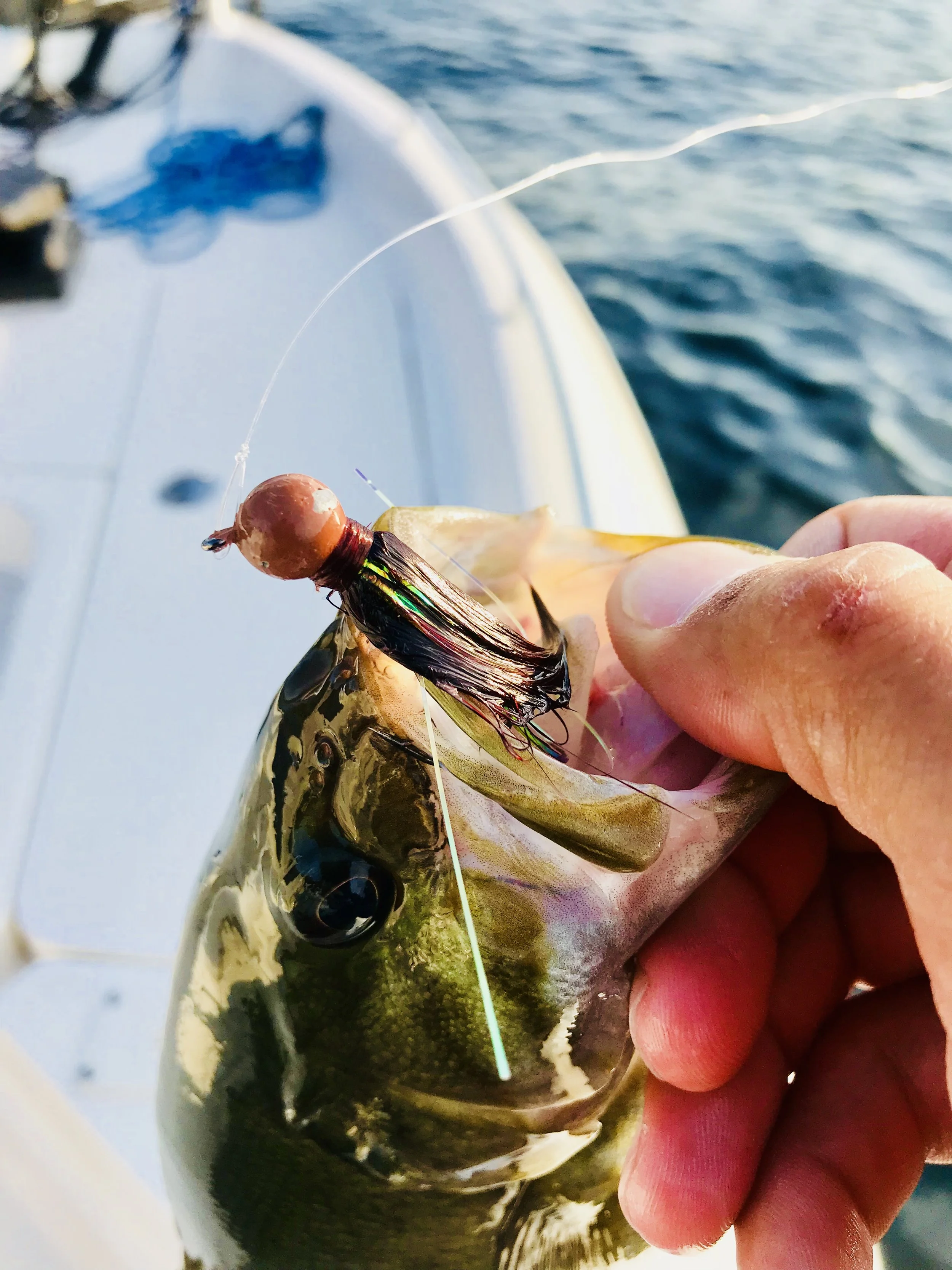Learning how to fish Lake How do you fish a hair jig