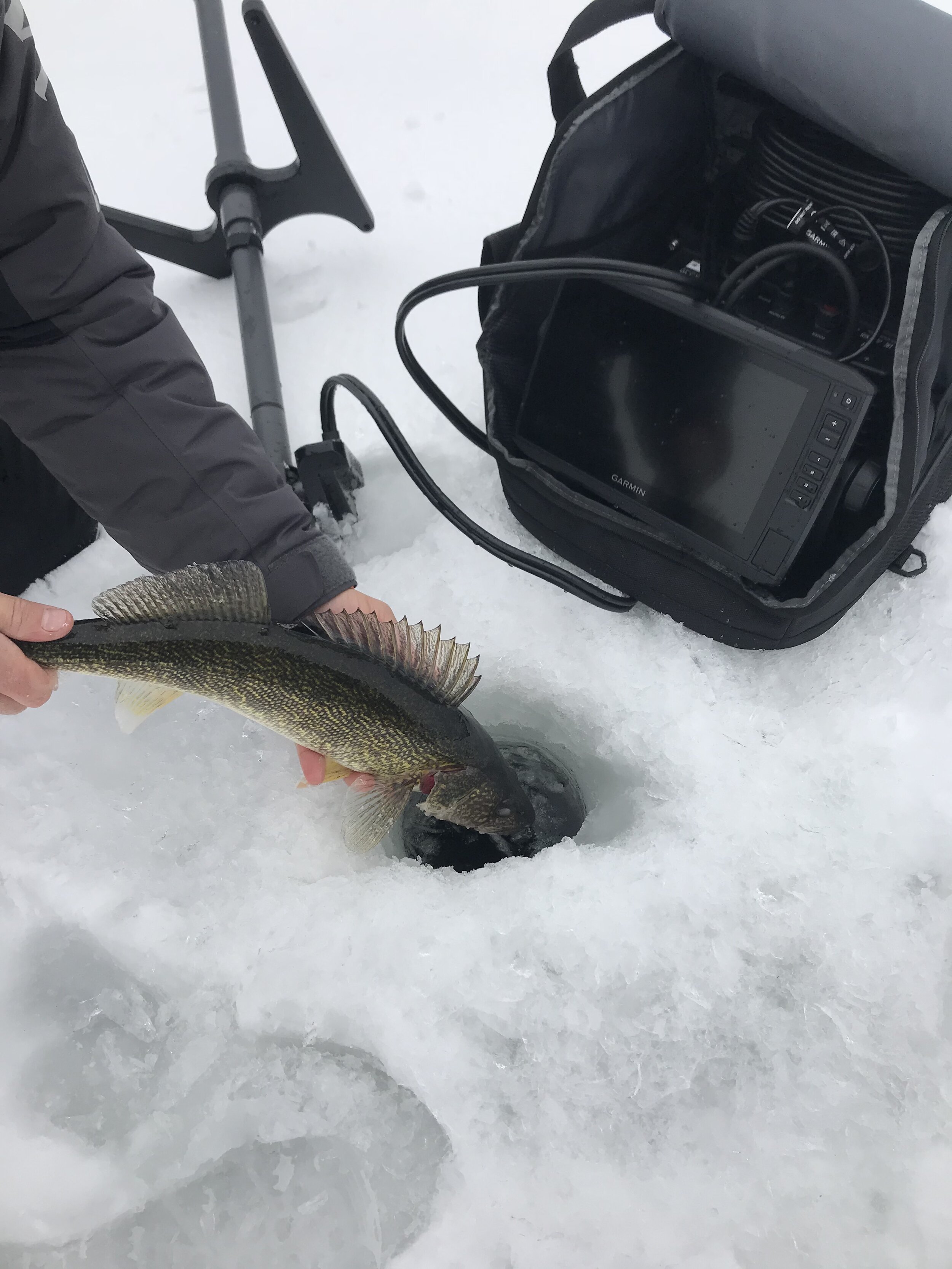 Garmin's Panoptix Ice Bundle is Truly a Game Changer — Freshwater Therapy  Fishing Guide Service