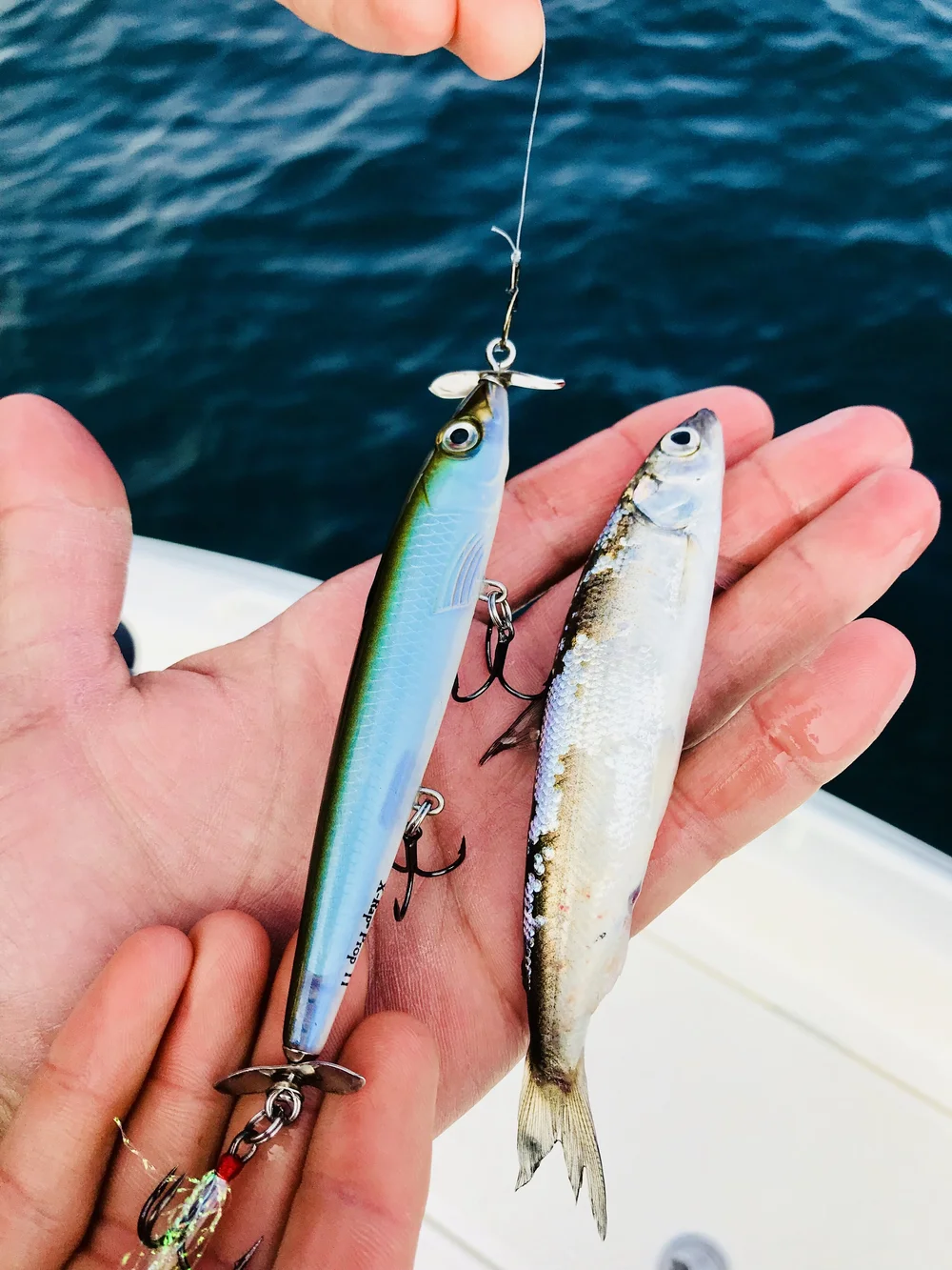 food safe plastic tackle box FishLab Boxes Style:Silver Arm / Silver-Gold Aluminum T-Bar Here’s why price point fly reel 4runner Fishing 4runner Fishing