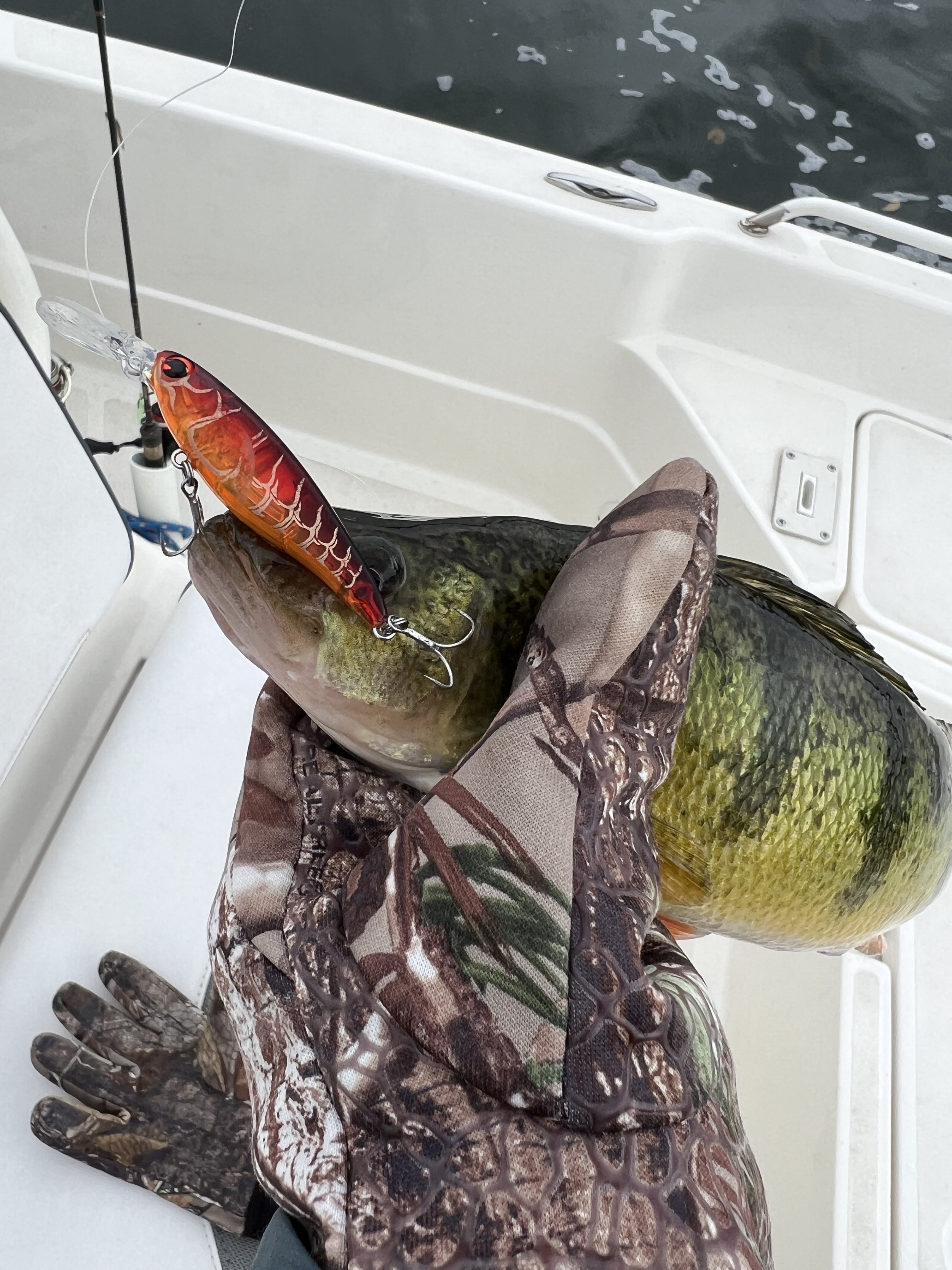 Twitchbaiting for Fall Perch — Freshwater Therapy Fishing Guide