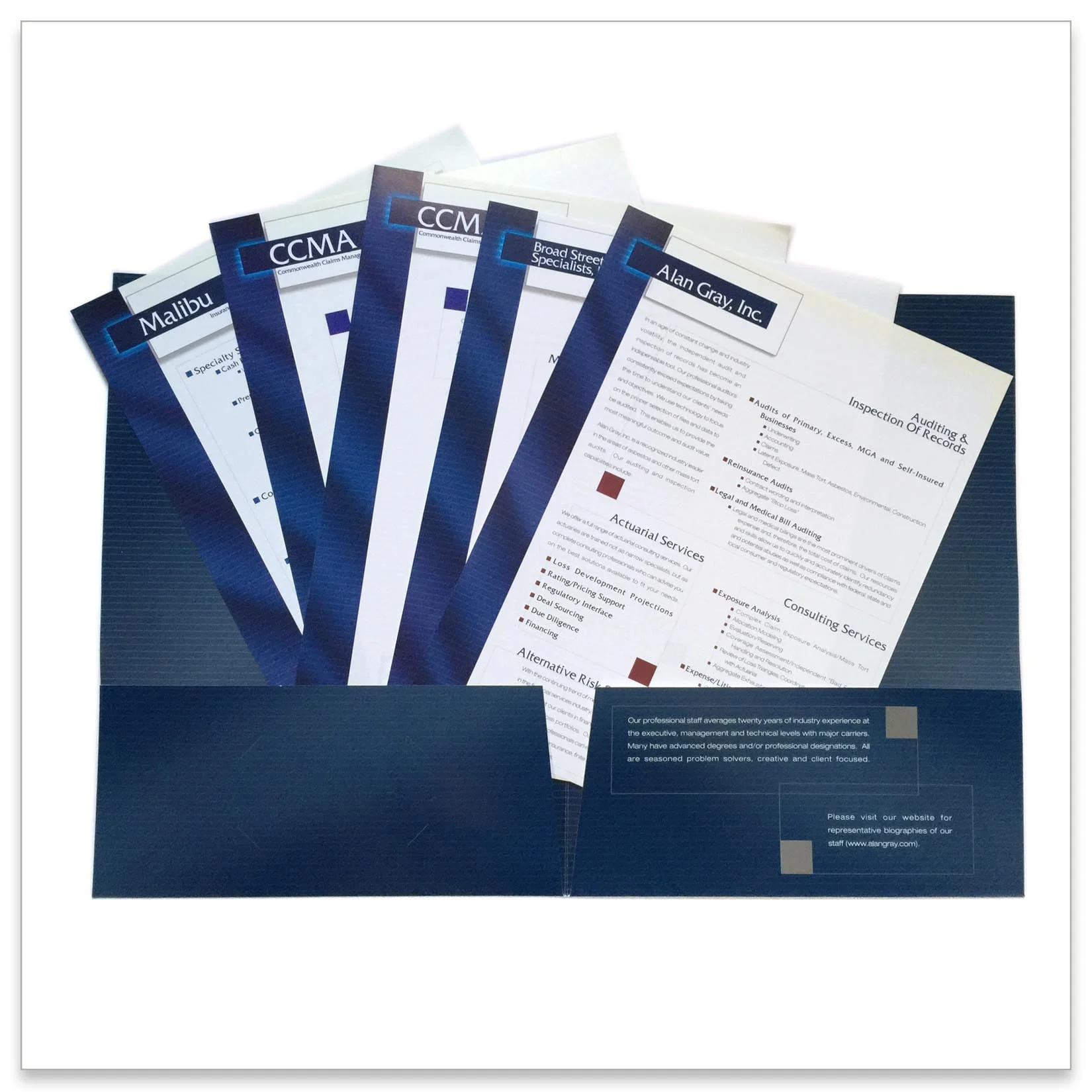 Financial Group One Sheet Brochure