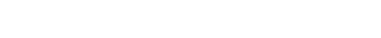 Homepage text websites.png