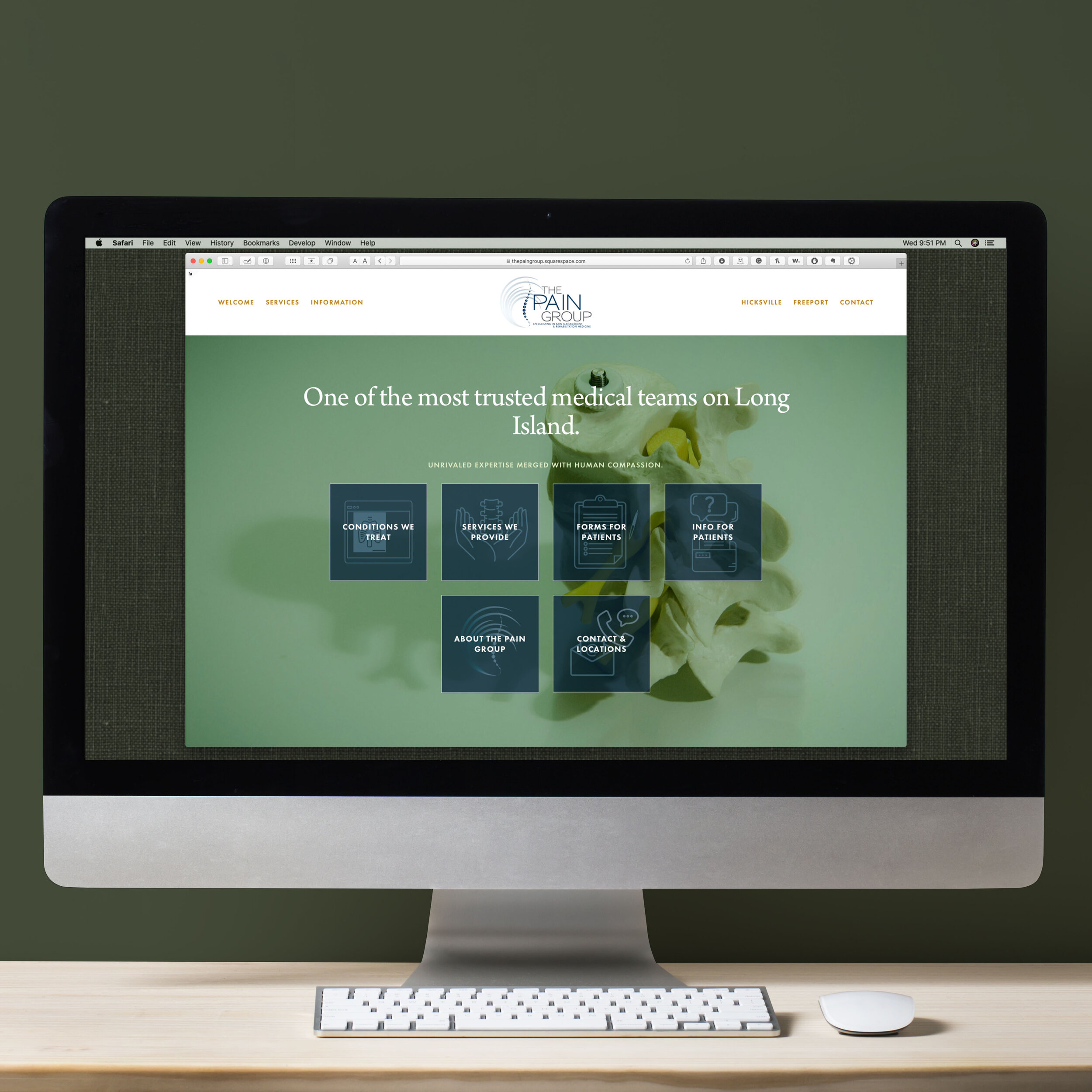Scorpio Creative website examples - Pain Group.jpg