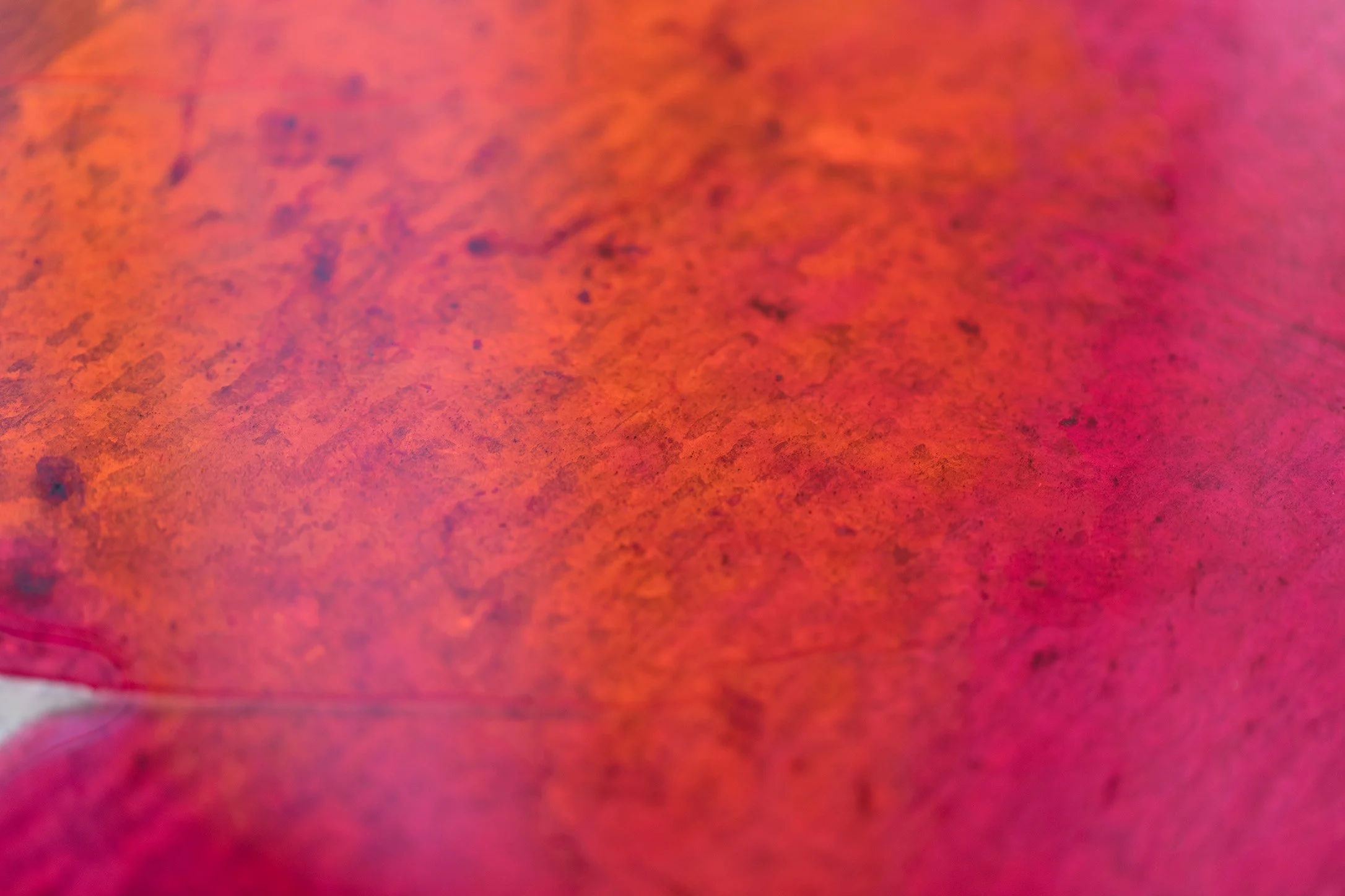 Process-12.jpg