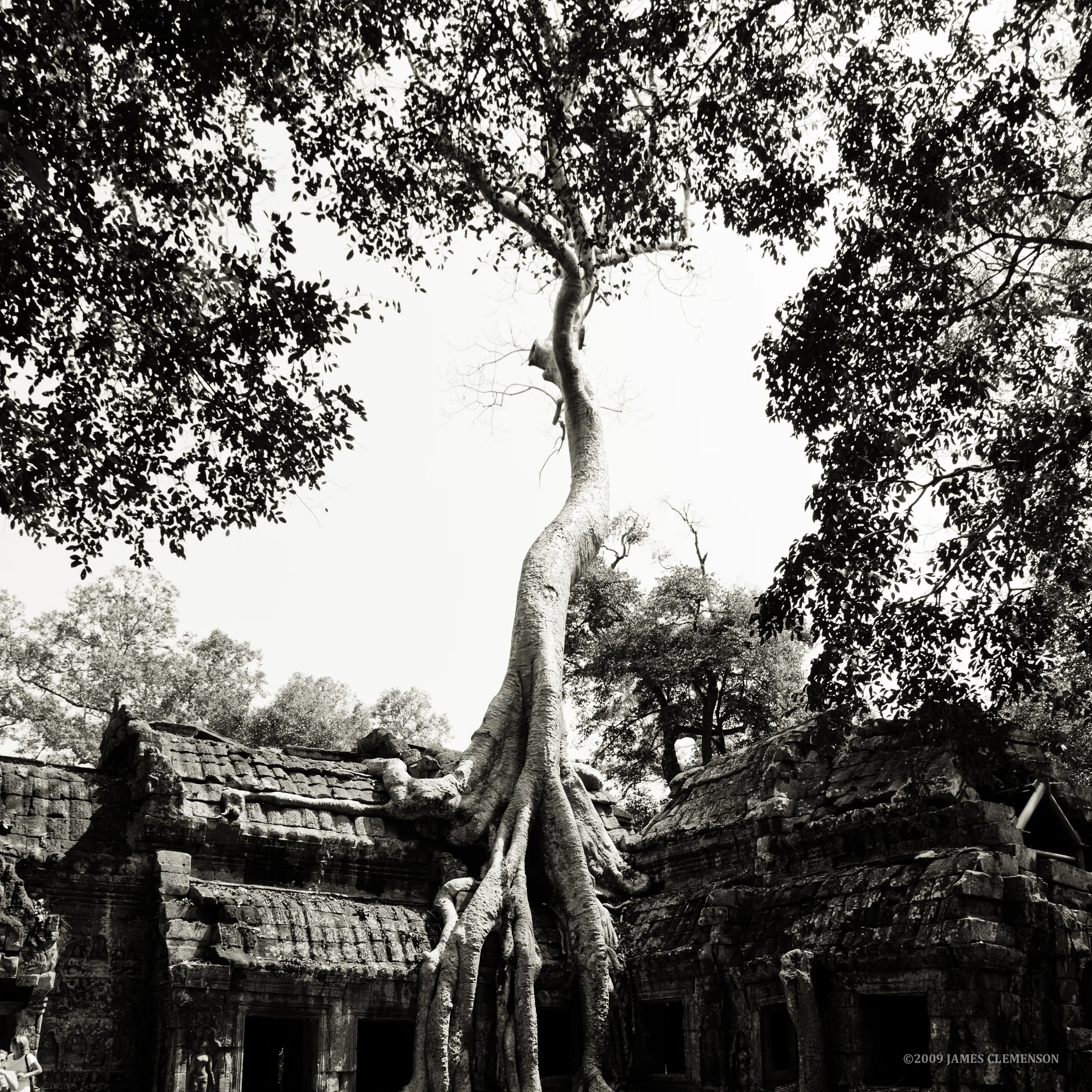 Asia 2009 JJC-1324.jpg