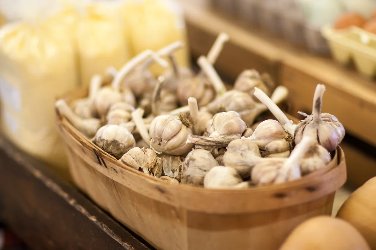 SB_Farmers_Market-052.jpg