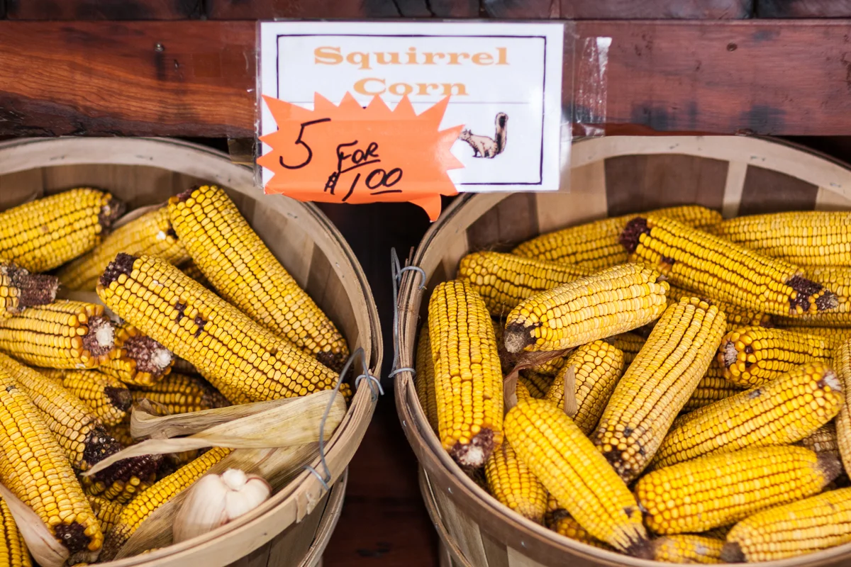 SB_Farmers_Market-101.jpg