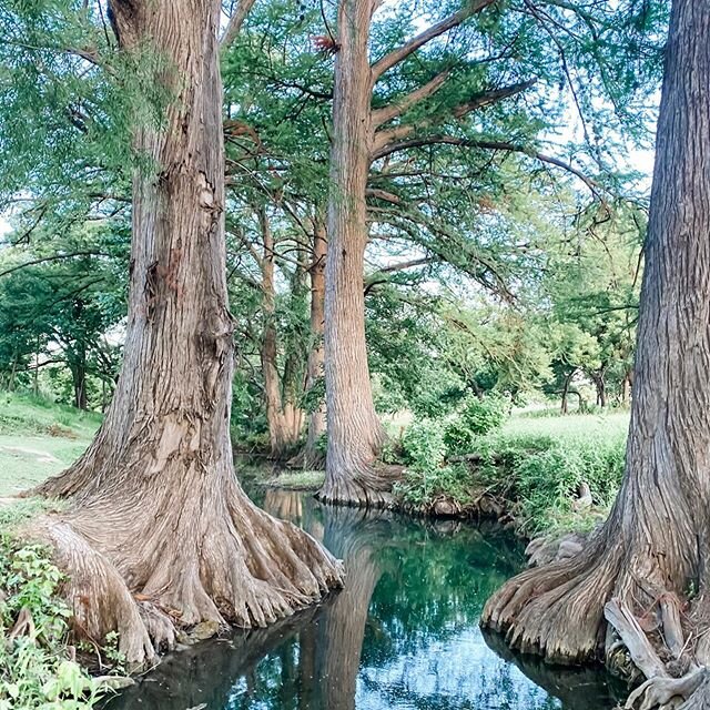 texas hill country ✨ such magic