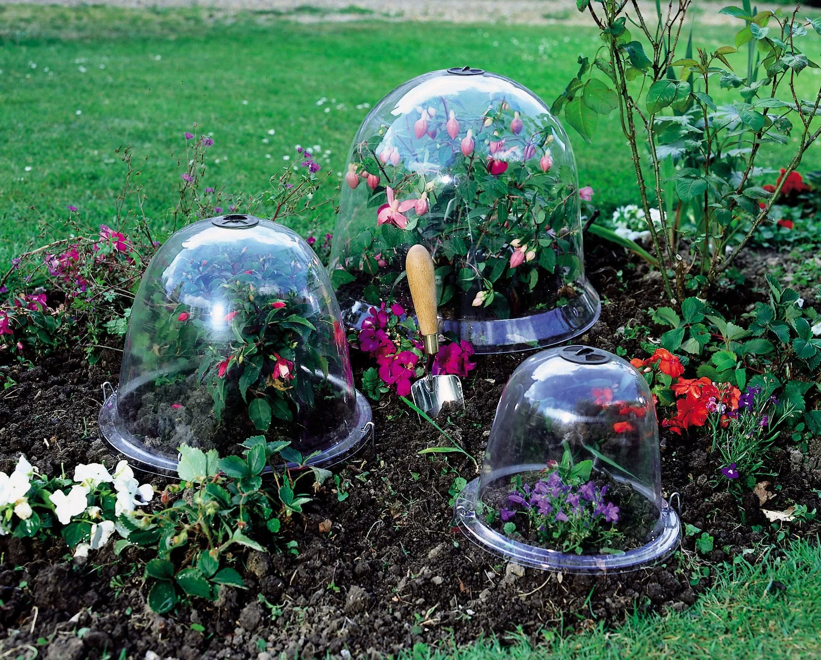 Haxnicks Victorian Bell Cloches