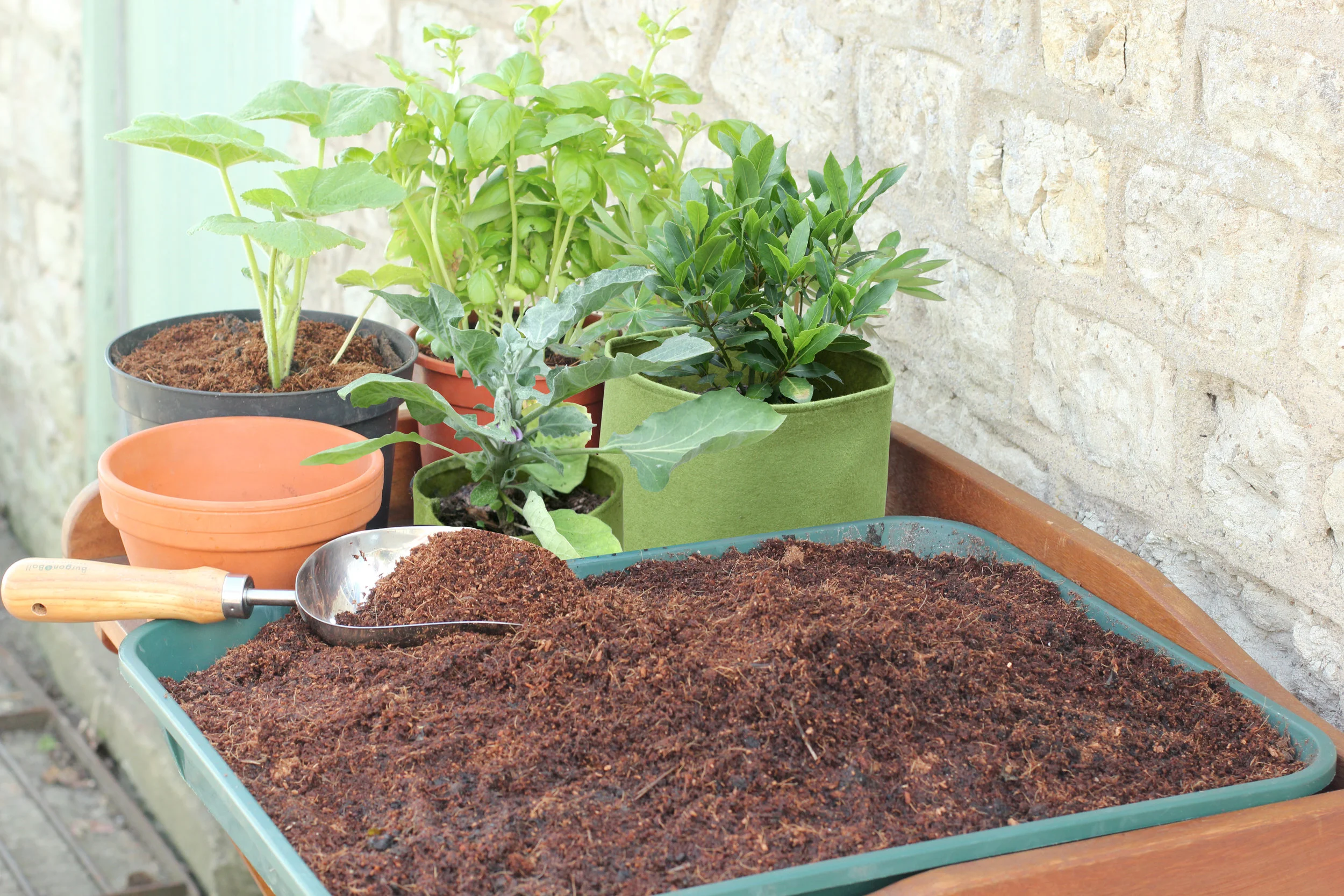 Haxnicks GrowLite In Use.jpg