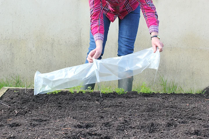 50-5080 Tierra Garden Haxnicks Easy Seedling Tunnel In Use Step 4 WEB.jpg