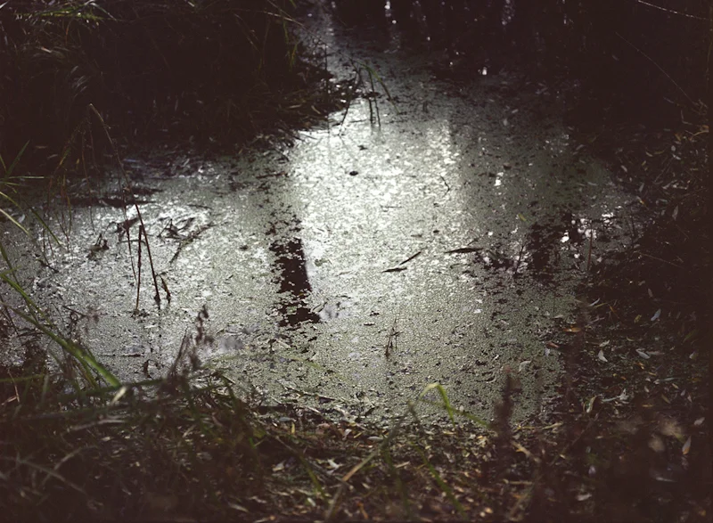  marsh #0713, 2013, light-jet print, 30x40 inch&nbsp; 