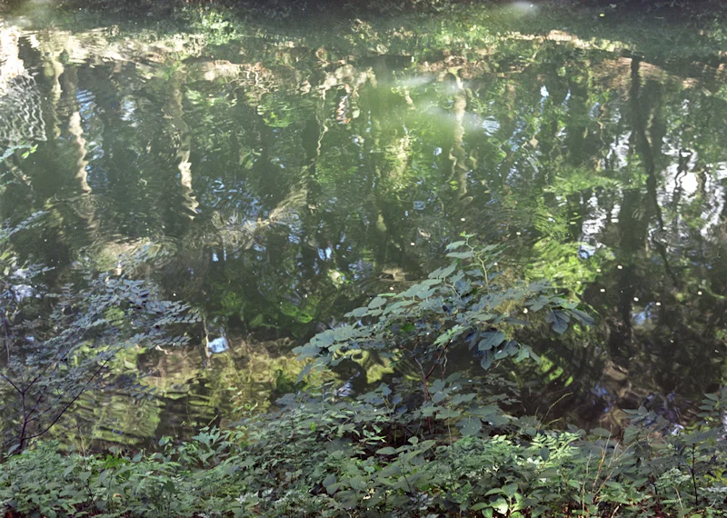  pond #1014, 2013, light-jet print, 20x27 inch&nbsp; 
