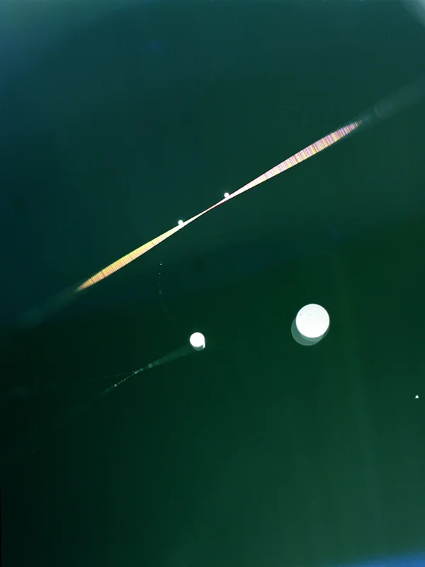  web #6, 2009, light-jet print, 20x16 inch&nbsp; 