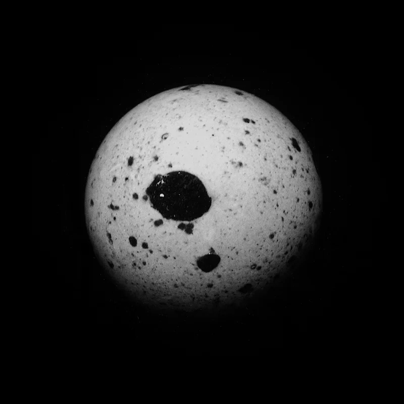  dark, dirt, 2000, gelatin silver print, 25x25 inch 