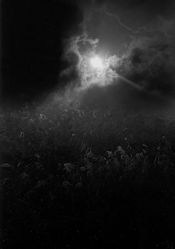  earth bound -1, 2000, gelatin silver print, 20x24 inch 