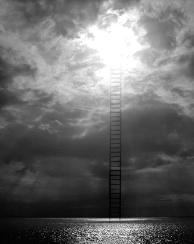  trans -1, 2000, digital print, 40x50 inch 