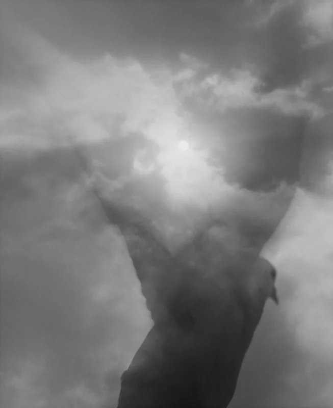  wing -2, 2000, digital print, 40x50 inch 