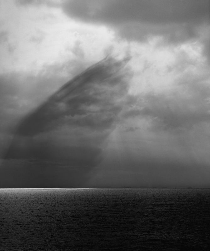  wing -1, 2000, digital print, 40x50 inch 