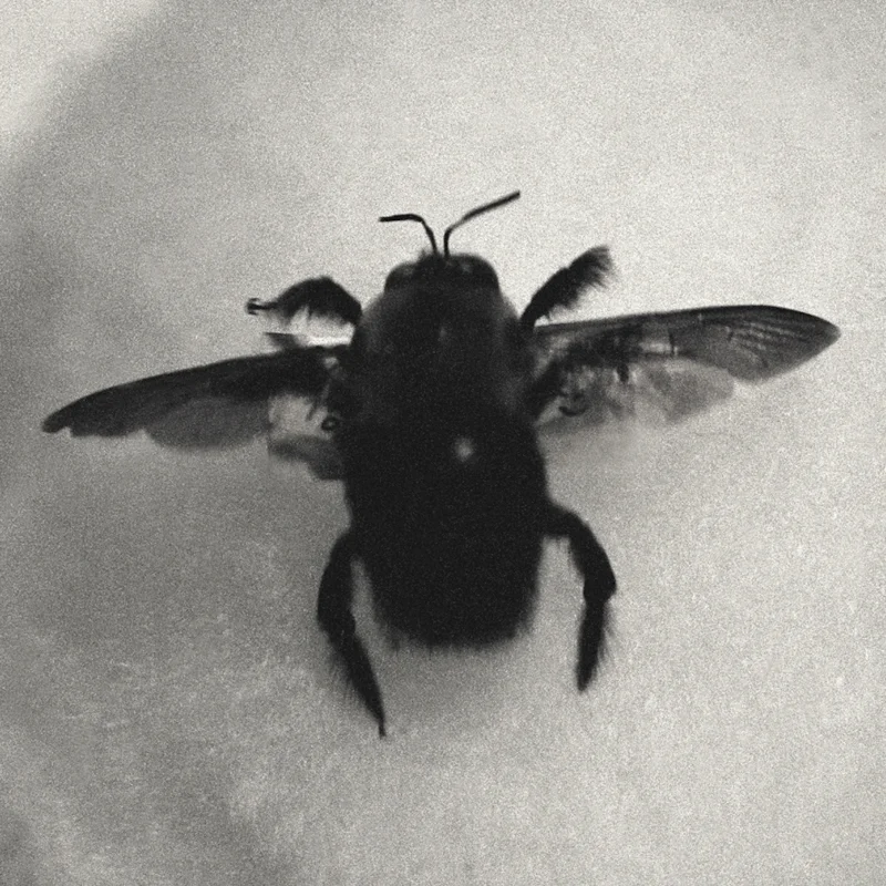  untitled, from &lt;walks on water&gt; series, 2004, c-print 