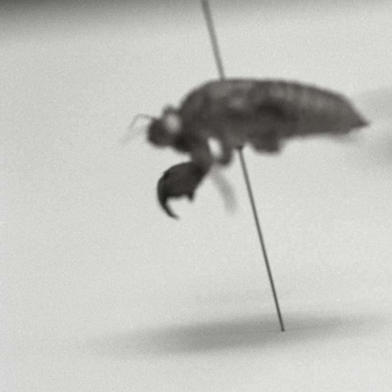  untitled, from &lt;walks on water&gt; series, 2004, c-print 
