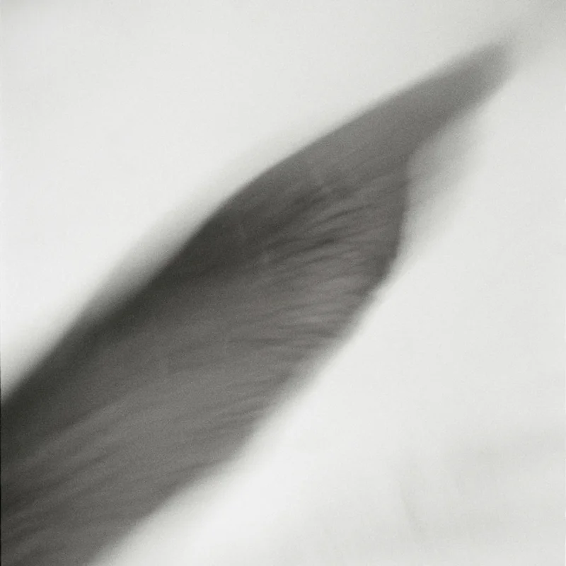  untitled, from &lt;walks on water&gt; series, 2004, c-print 