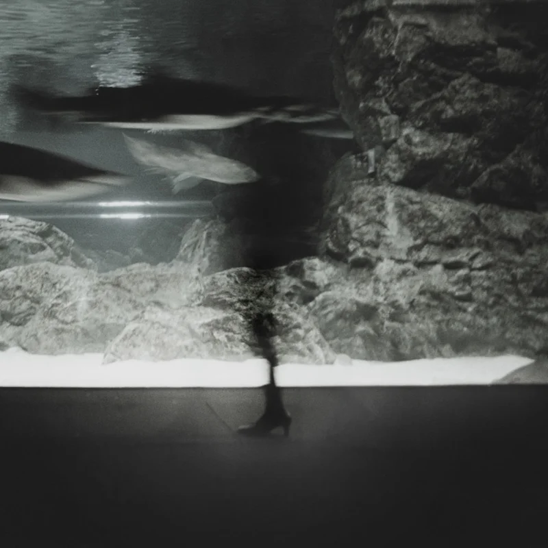  untitled, from &lt;walks on water&gt; series, 2004, c-print 