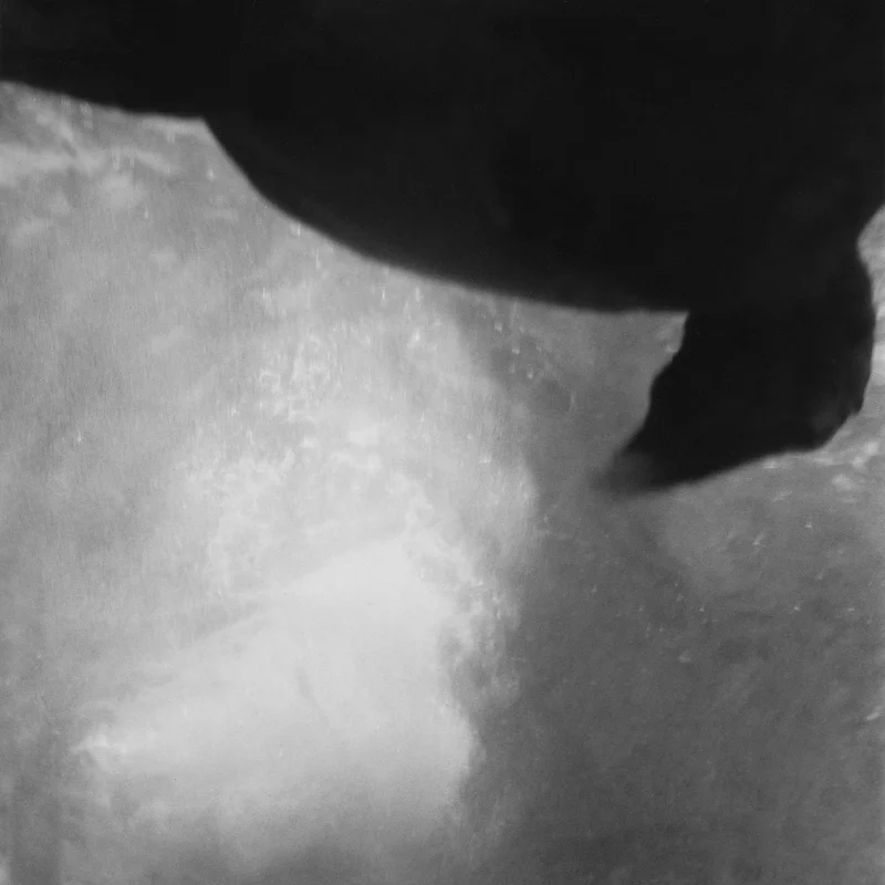 untitled, from &lt;walks on water&gt; series, 2004, gelatine silver print 