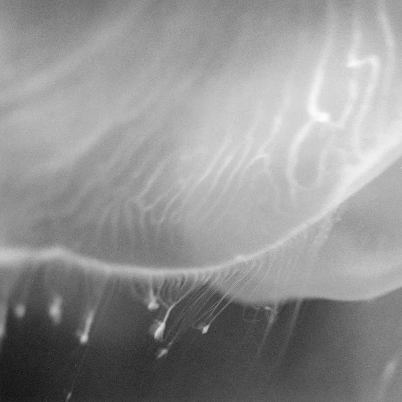  untitled, from &lt;walks on water&gt; series, 2004, gelatine silver print 