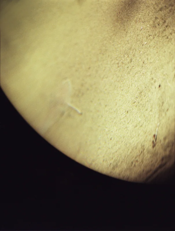  untitled, from &lt;wonder on parnassus&gt; series, 2007, c-print 