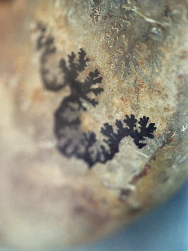  untitled, from &lt;wonder on parnassus&gt; series, 2007, c-print 