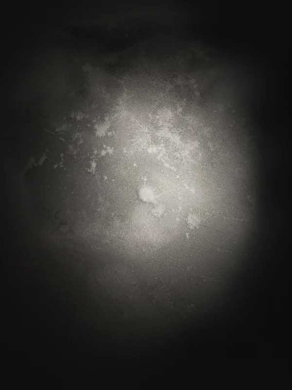  untitled, from &lt;wonder on parnassus&gt; series, 2007, c-print 