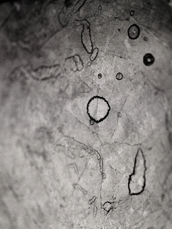  untitled, from &lt;wonder on parnassus&gt; series, 2007, c-print 