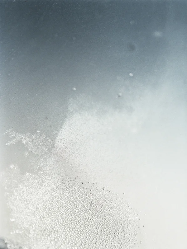  untitled, from &lt;wonder on parnassus&gt; series, 2007, c-print 