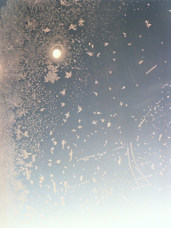  untitled, from &lt;wonder on parnassus&gt; series, 2007, c-print 