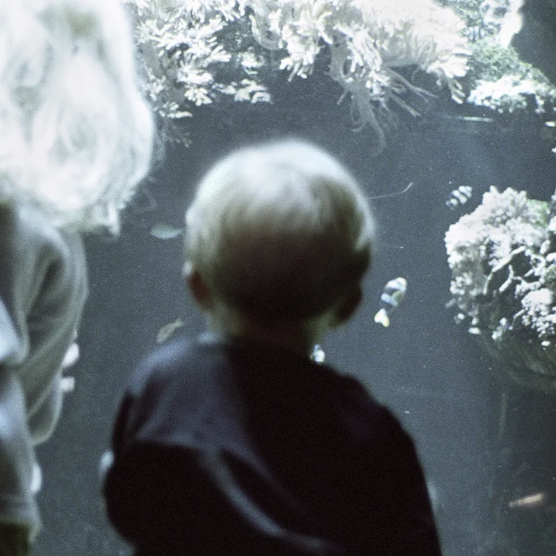  untitled, from &lt;wonder on parnassus&gt; series, 2007, c-print 