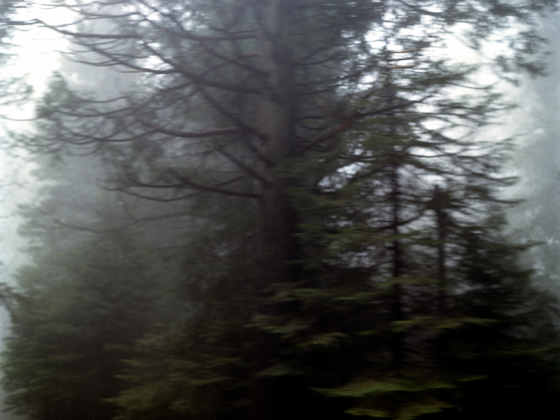  untitled, from &lt;wonder on parnassus&gt; series, 2007, c-print 