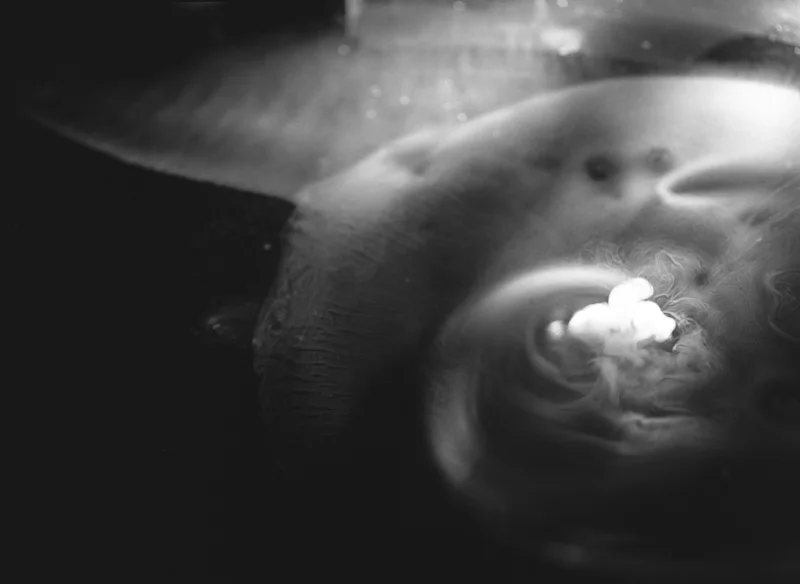  untitled, from &lt;wonder on parnassus&gt; series, 2007, c-print 