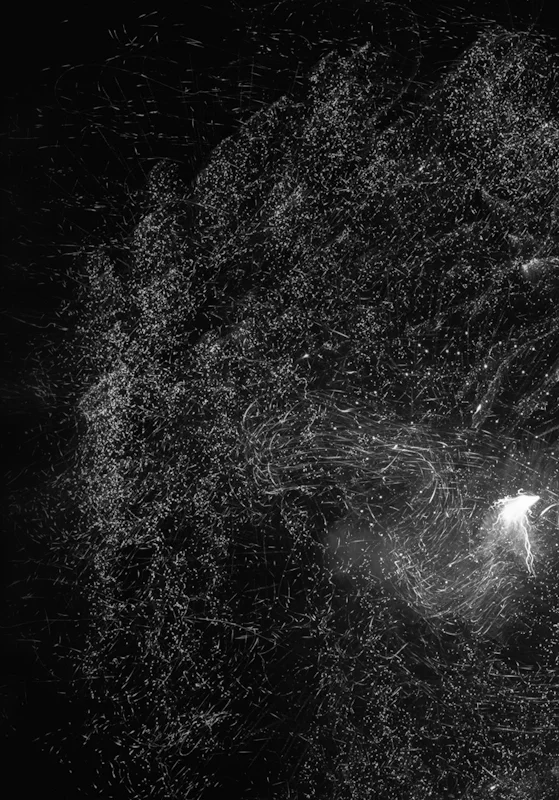  untitled, from &lt;wonder on parnassus&gt; series, 2007, c-print 