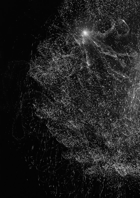  untitled, from &lt;wonder on parnassus&gt; series, 2007, c-print 