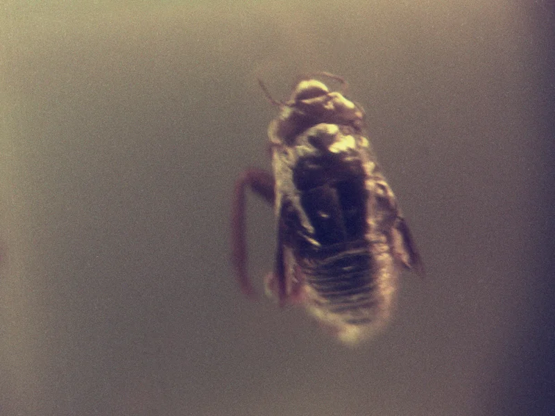 untitled, from <grace and gravity> series, 2009, c-print
