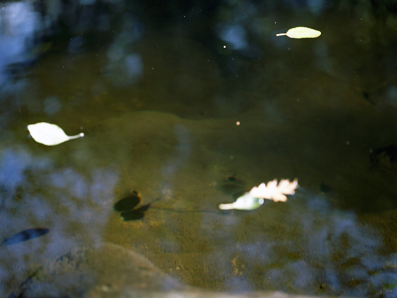 untitled, from <grace and gravity> series, 2009, c-print